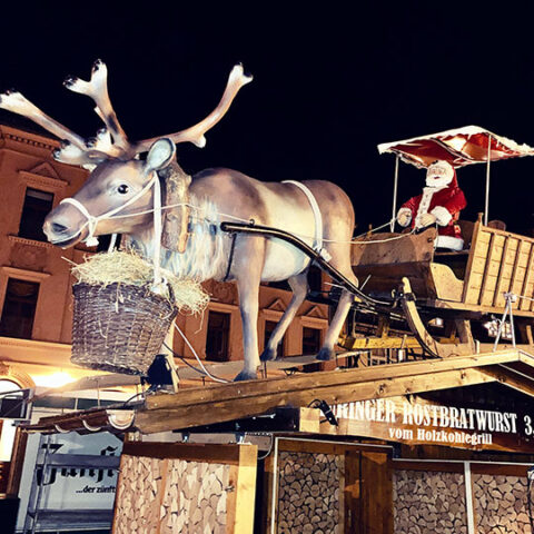 Weihnachtsmarkt, Advent in den Höfen, Weihnachtsbaum-Preise, Lady Bitch Ray