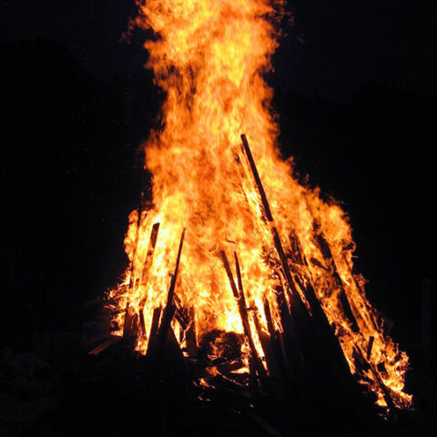 Harzfrühling, Osterfeuer – und ein ausgebüxtes Stachelschwein-Pärchen