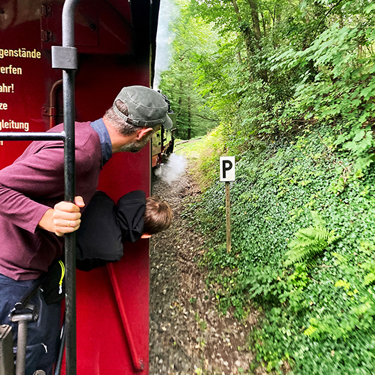 Im schönen Selketal unterwegs mit Schmalspurbahn und Fahrrad