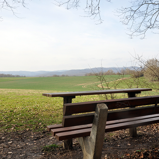 79 walkenried aussicht