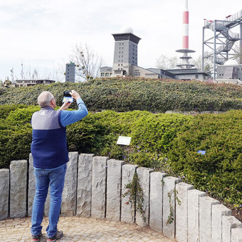 Kleiner Harz: im Schnelldurchgang durch alle Harz-Highlights