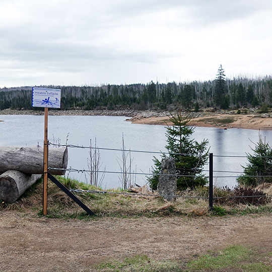 137 Harztour Oderteich