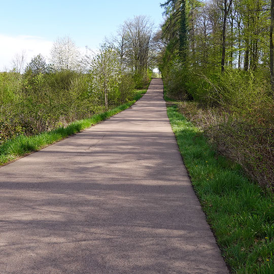 137 Harztour feldweg