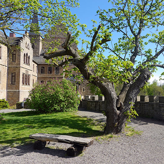 137 Harztour schloss mansfeld