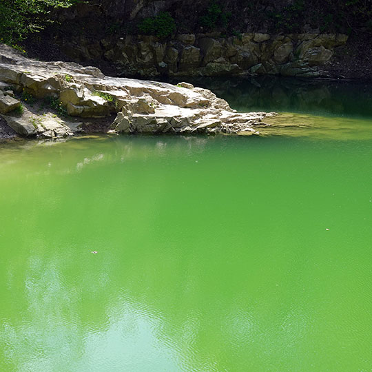139 Der blaue See giftgruen