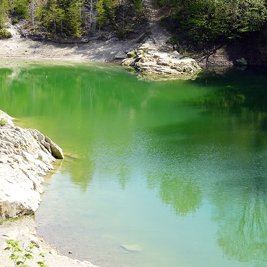 139 Der blaue See gruen