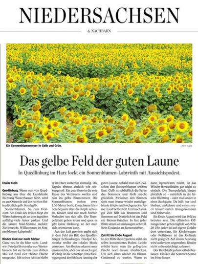 149 Sonnenblumen BZ