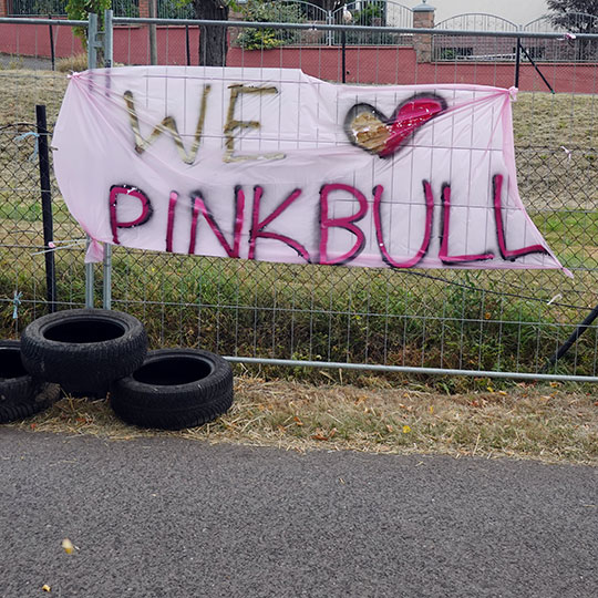 153 Seifenkiste Pinkbull