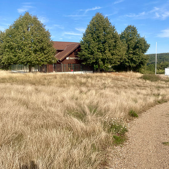 154 meisdorf anlage