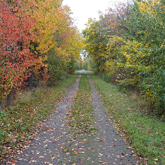 164 kloster geradeaus