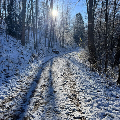 Schnee im Harz! Der Winter 2025 ist schon da (und Wandern fällt erst einmal aus)