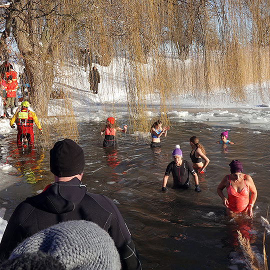 174 Reddeberteich Im Wasser