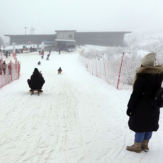 177 rodel beobachter