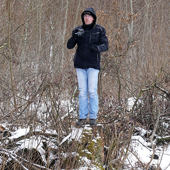 179 schmalspurbahn Baumstumpf2