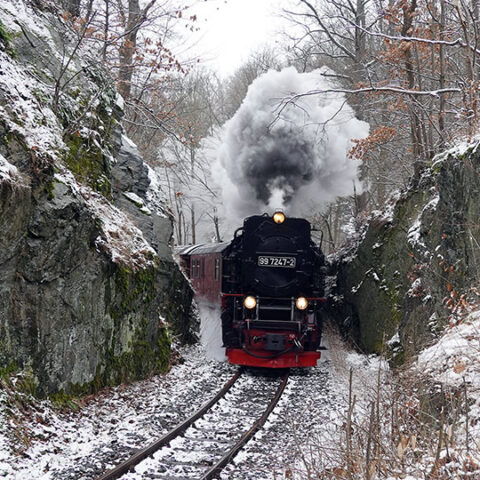 Die Harzer Schmalspurbahn und der Pufferküsser vom Selketal