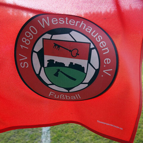 Abstiegskampf in der Wolfsberg-Arena: SV 1890 Westerhausen besiegt Warnau 3:1