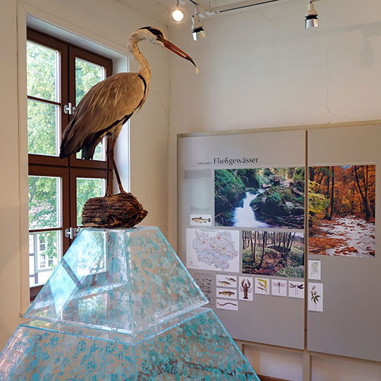 200 Harzmuseum reiher