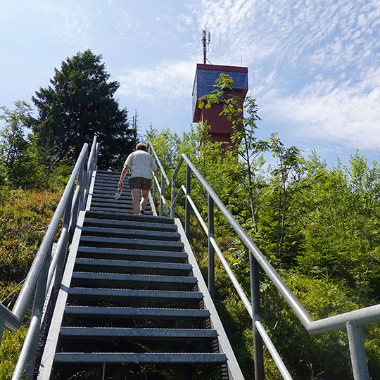 204 Wurmberg Treppe2