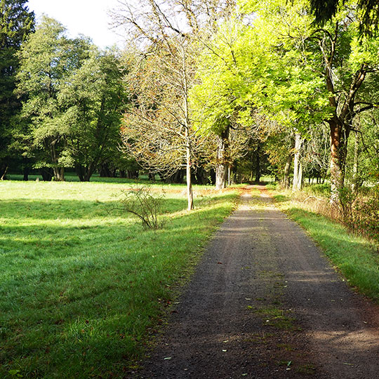 214 camping weg